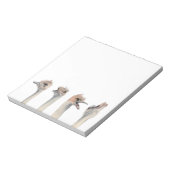 Bloc-note Illustration de l'aquarelle des autruches amusante (Tourné)