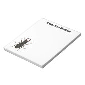 Bloc-note Illustration de l'insecte du dendroctone du pin (Tourné)