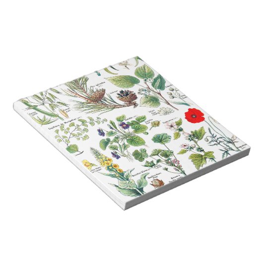 Bloc-note Illustrations botaniques (Incliné)