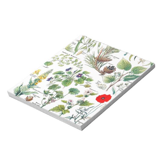Bloc-note Illustrations botaniques (Tourné)