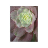 Bloc-note Impression de cactus | Une fleur de cactus du dése (Tourné)