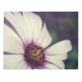 Bloc-note Impression de marguerite. (Devant)