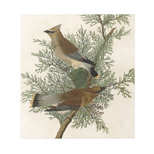 Bloc-note Impression d'oiseau de John James Audubon Jaseur b (Devant)