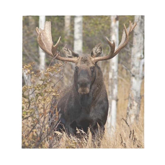 Bloc-note Impressionnant orignal (Devant)