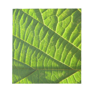 Bloc-note imprimé vert cool