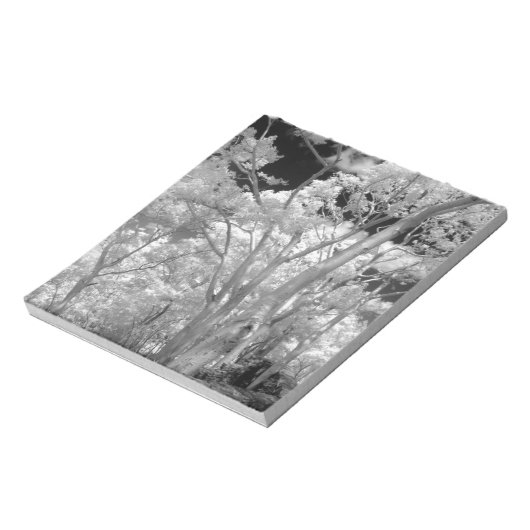 Bloc-note Infra rouge d'arbres bâtiments et sentiers à Las 2 (Tourné)