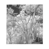 Bloc-note Infra rouge d'arbres bâtiments et sentiers à Las 2 (Devant)