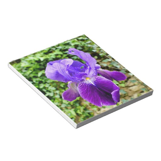 Bloc-note Iris à poils (Incliné)