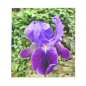 Bloc-note Iris à poils (Devant)