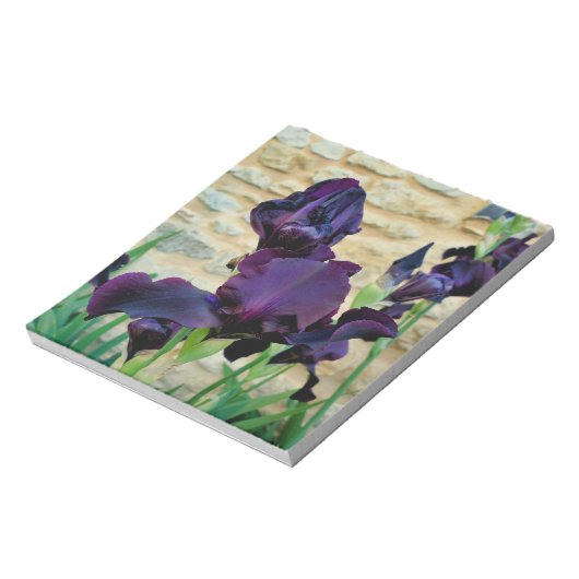 Bloc-note Iris à poils (Tourné)