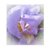 Bloc-note iris pourpre (Devant)
