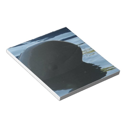 Bloc-note Irrawaddy Dolphin Peek-A-Boo (Incliné)