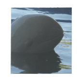 Bloc-note Irrawaddy Dolphin Peek-A-Boo (Devant)