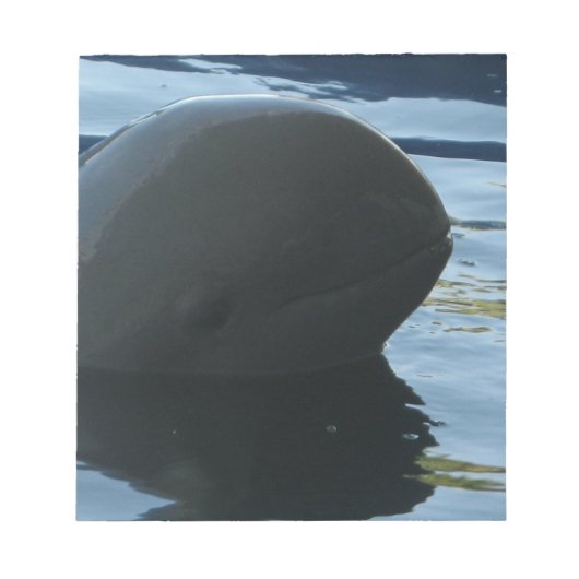 Bloc-note Irrawaddy Dolphin Peek-A-Boo (Devant)
