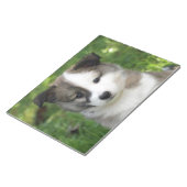 Bloc-note Islandhundwelpe Splitface (Incliné)