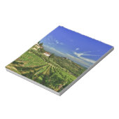 Bloc-note Italie, Toscane, Greve. Les vignobles de Castello (Tourné)