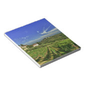 Bloc-note Italie, Toscane, Greve. Les vignobles du Castello (Incliné)