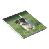 Bloc-note Jack Russell Terrier puppy (Incliné)