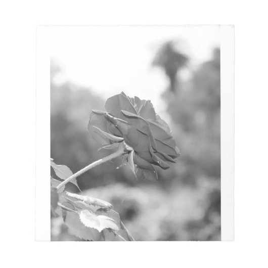 Bloc-note J'ai choisi Me Rose (Devant)