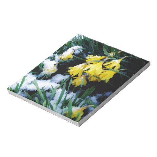 Bloc-note Jaune Daffodils fleurs dans la neige (Tourné)