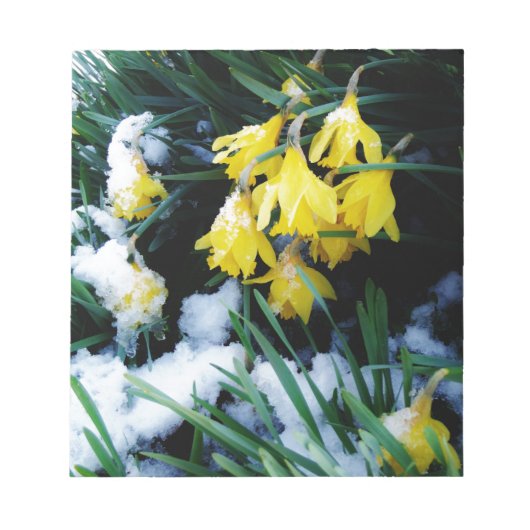 Bloc-note Jaune Daffodils fleurs dans la neige (Devant)