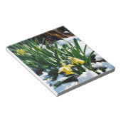 Bloc-note Jaune Daffodils fleurs dans la neige (Incliné)