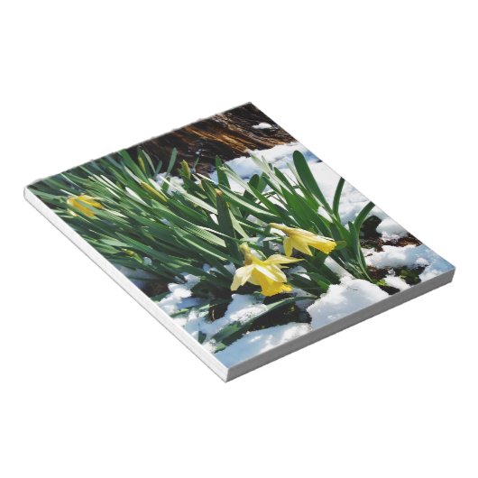 Bloc-note Jaune Daffodils fleurs dans la neige (Incliné)