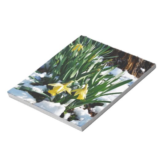 Bloc-note Jaune Daffodils fleurs dans la neige (Tourné)