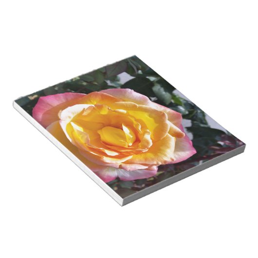 Bloc-note jaune et rose (Incliné)
