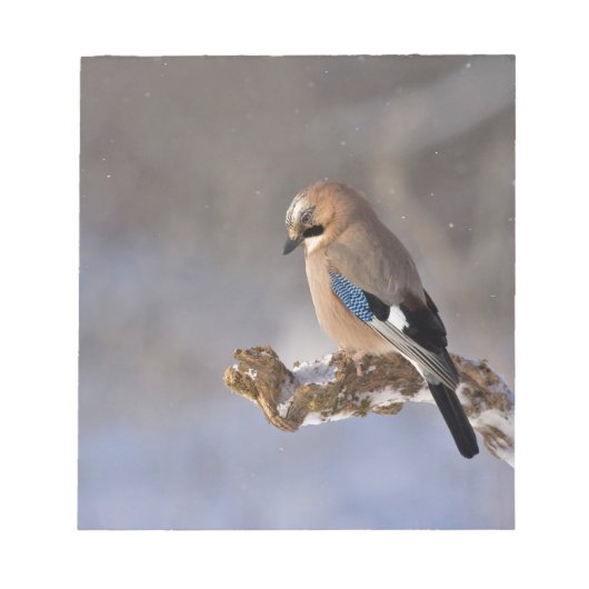 Bloc-note Jay Bird en hiver (Devant)