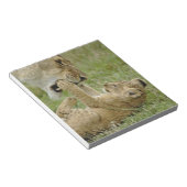 Bloc-note Jeune lion jouant (Incliné)