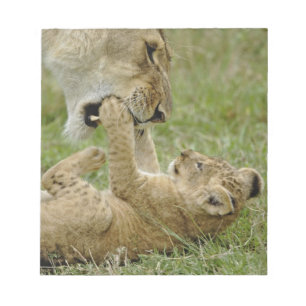Bloc-note Jeune lion jouant
