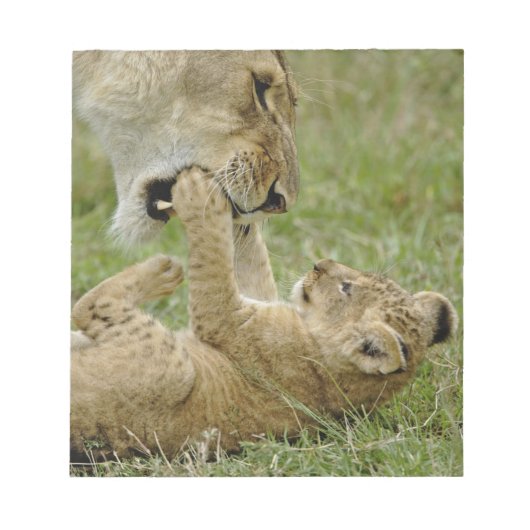 Bloc-note Jeune lion jouant (Devant)