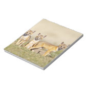 Bloc-note Jeune Renard véloce (Vulpes macrotis) au terrier, (Tourné)