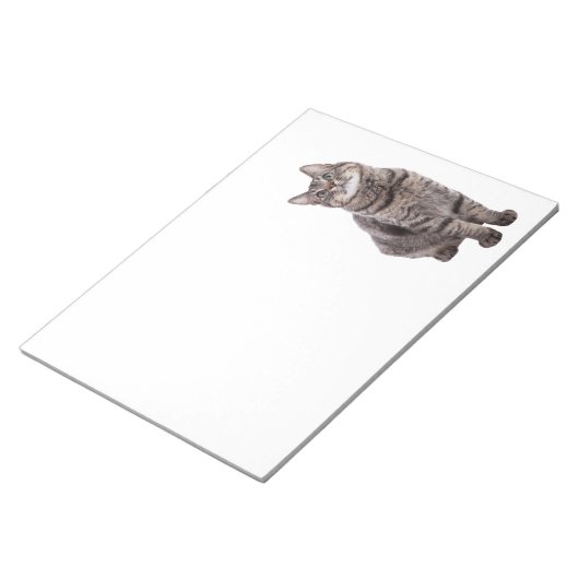 Bloc-note Joli chat tigré (Incliné)