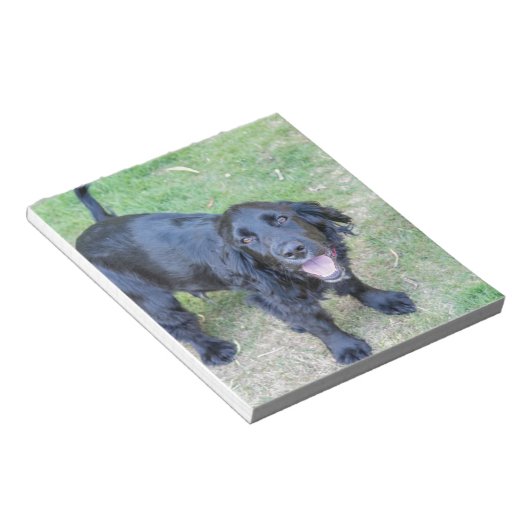 Bloc-note Joli chiot noir (Incliné)