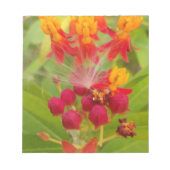 Bloc-note Jolie florale colorée avec Milkweed Art Imprimer (Devant)