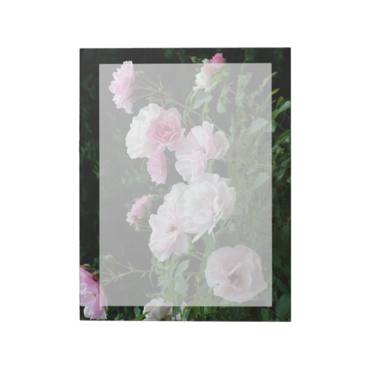 Bloc-note jolis buissons de fleurs de rose rose et blanche.  (Tourné)