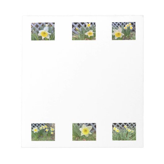 Bloc-note Jonquilles (Devant)