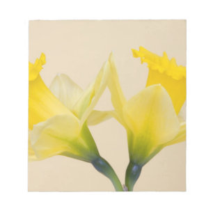 Bloc-note Jonquilles jaunes