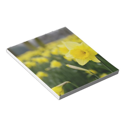 Bloc-note Jonquilles (RF) (Incliné)