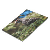 Bloc-note Joyeux Tétras d'épinette (Incliné)