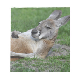 Bloc-note Kangaroo à dos