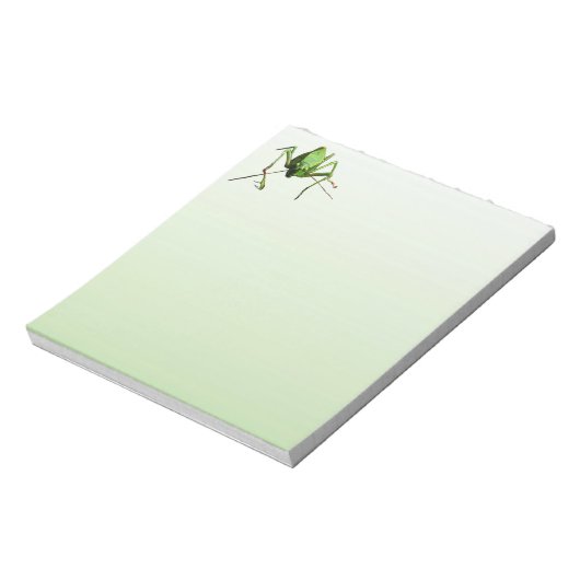 Bloc-note Katydid (Tourné)