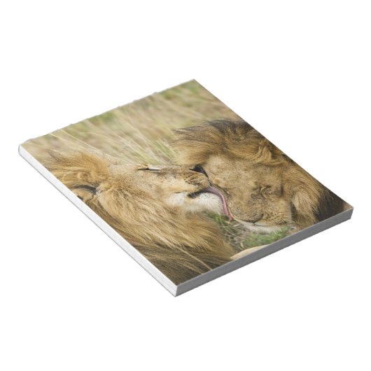 Bloc-note Kenya, Masai Mara (Incliné)