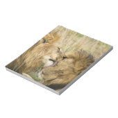 Bloc-note Kenya, Masai Mara (Tourné)