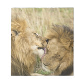 Bloc-note Kenya, Masai Mara (Devant)