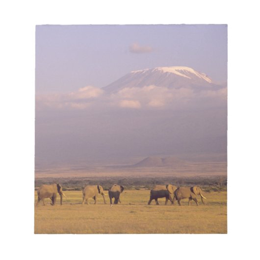 Bloc-note Kenya : parc national d'Amboseli, Éléphants (Devant)