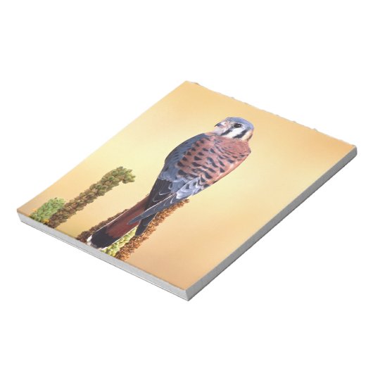 Bloc-note Kestrel, Falco sparverius, Native de US & Canada (Tourné)
