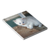 Bloc-note Kitten blanc (Incliné)
